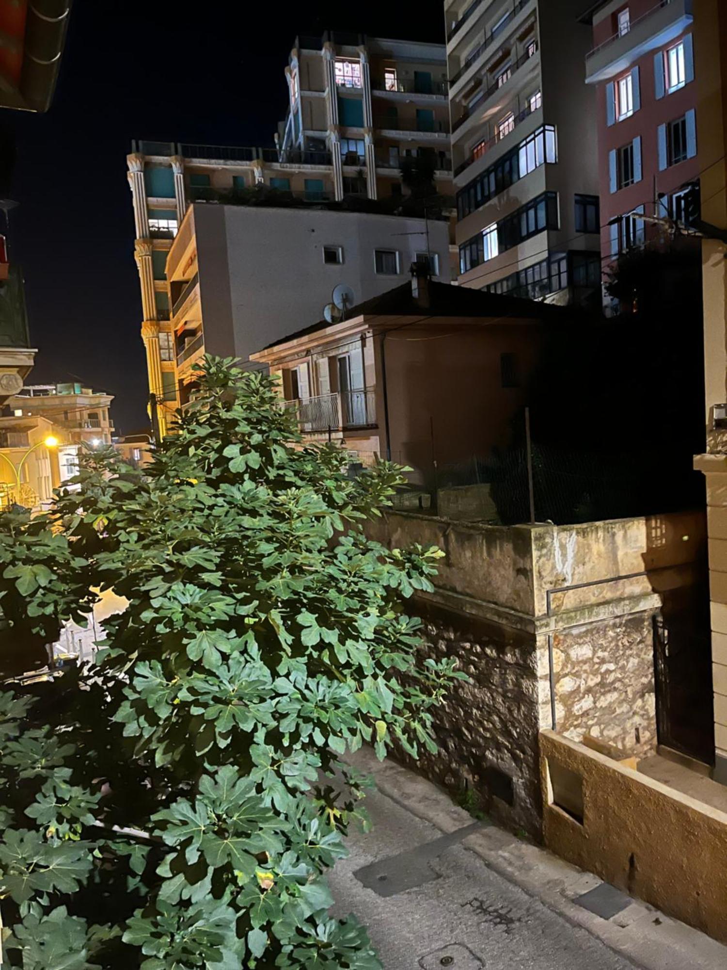 博索莱伊Duplex A La Frontiere De Monaco公寓 外观 照片